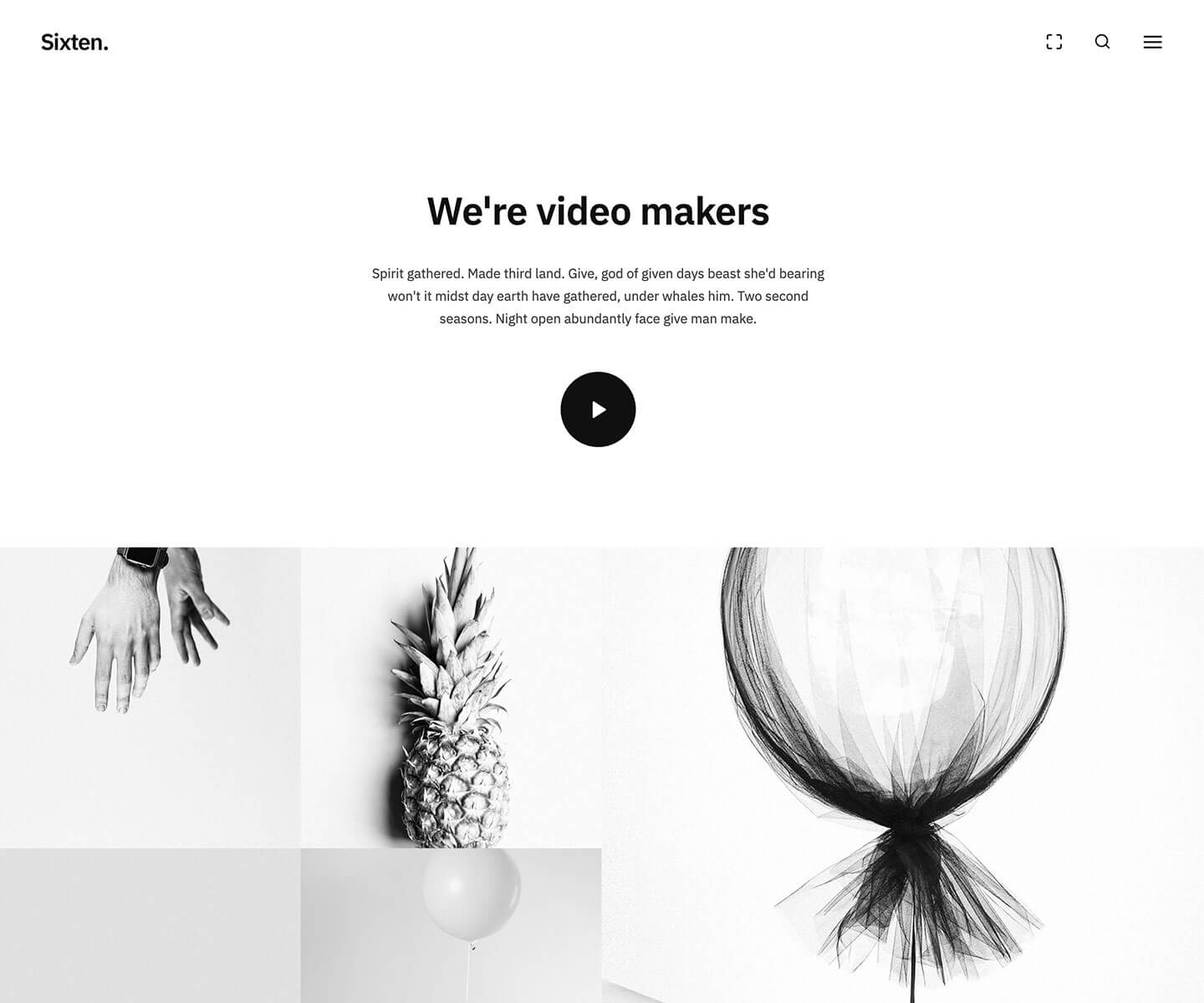 home-videographer